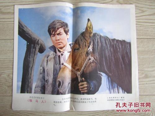代办曼尼托巴省驾照